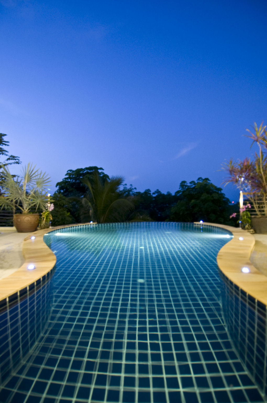 Coconut Hills Property Management Services since 1993